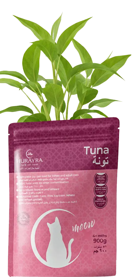 A Hurayra pack repurposed as an eco-friendly plant pot