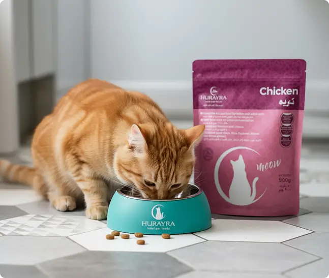 Cat enjoying omega-rich dry food