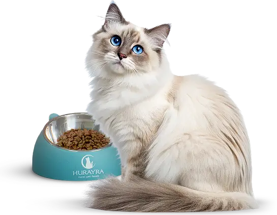 Happy cat beside a bowl of Hurayra dry food