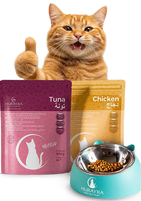 A happy cat with Hurayra packs and a bowl