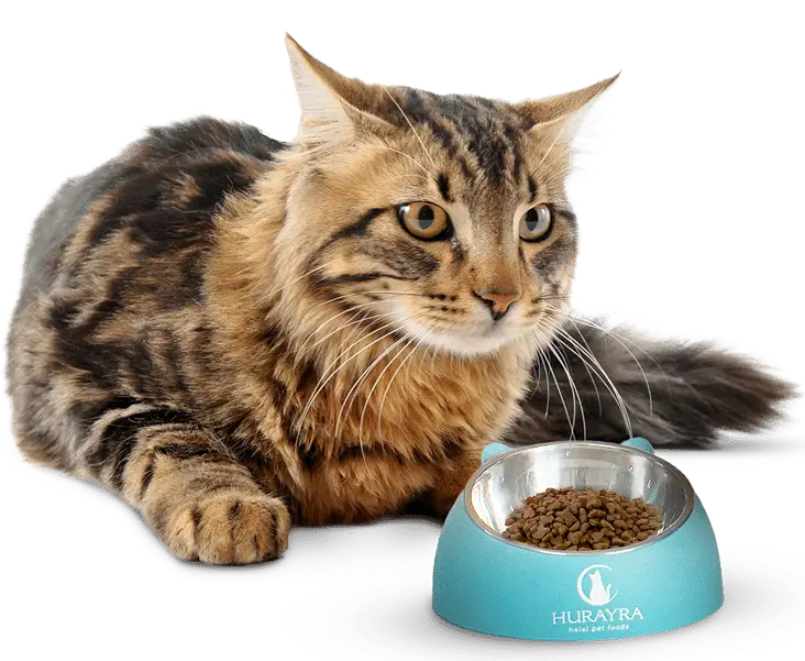 Happy cat enjoying a Hurayra meal
