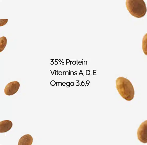 Dry Chicken Cat Food - Image 4