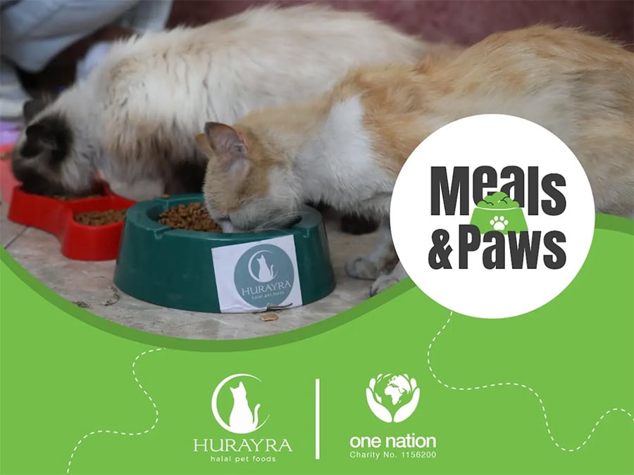 Meals & Paws