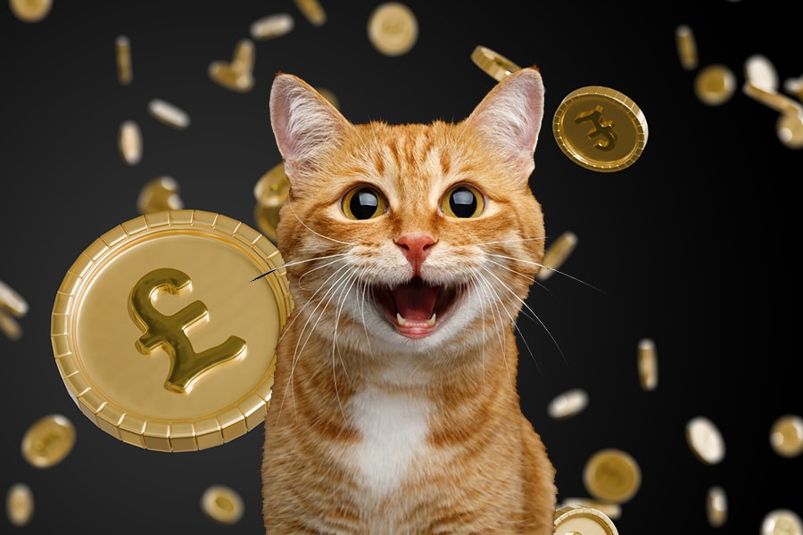 Subscribe and save money