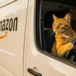 amazon uk