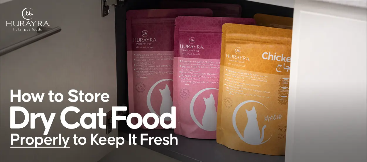 How to store dry cat food.