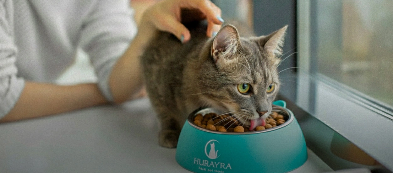 what islam really teaches about feeding a cat?