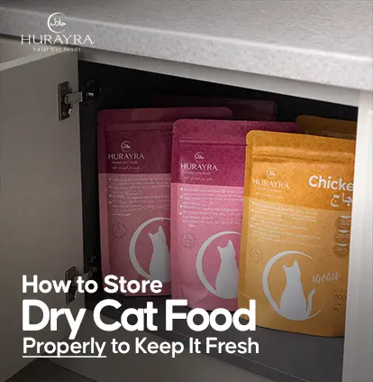 How to store dry cat food