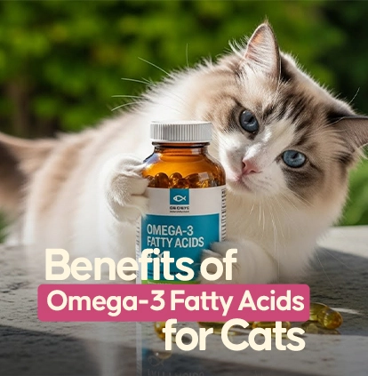 Benefits of Omega-3 Fatty Acids for Cats: