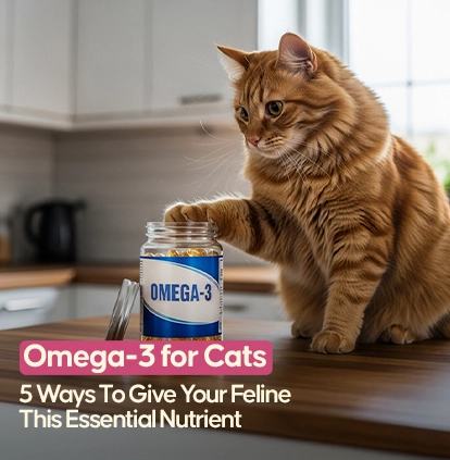 Omega-3 for Cats – 5 Ways To Give Your Feline
