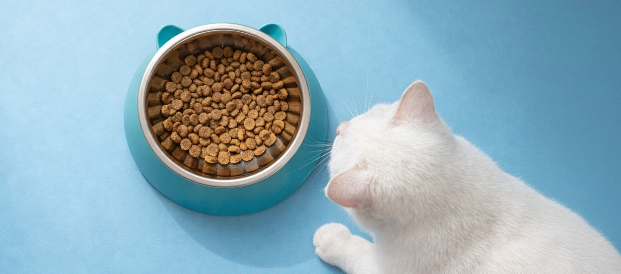Benefits of Omega-3 Fatty Acids for Cats: