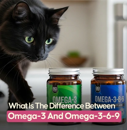 What Is The Difference Between Omega-3 And Omega-3-6-9