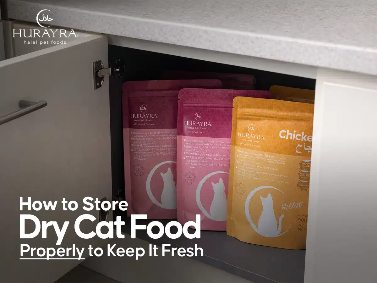 How to Store Cat Food Properly to Keep It Fresh