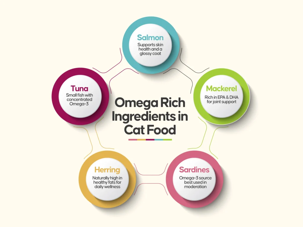 Omega Rich Ingredients in Cat Food