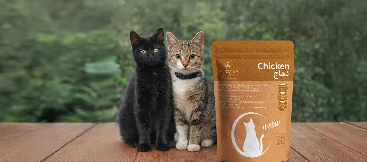 Ivy and Coco: The Cats Behind Hurayra