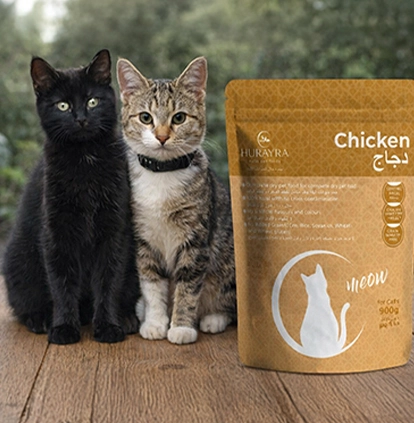 Ivy and Coco: The Cats Behind Hurayra