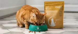 dry-cat-food-hydration