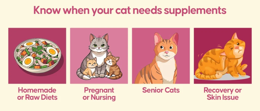 Know when your cat needs supplements