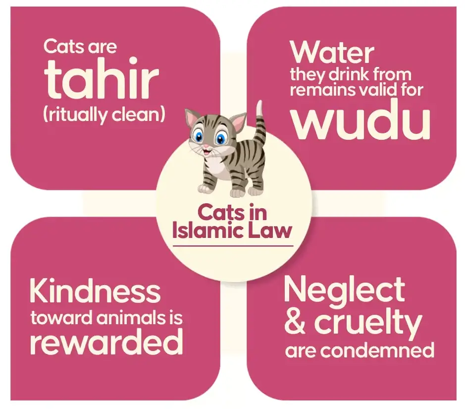 Cats in Islamic Law
