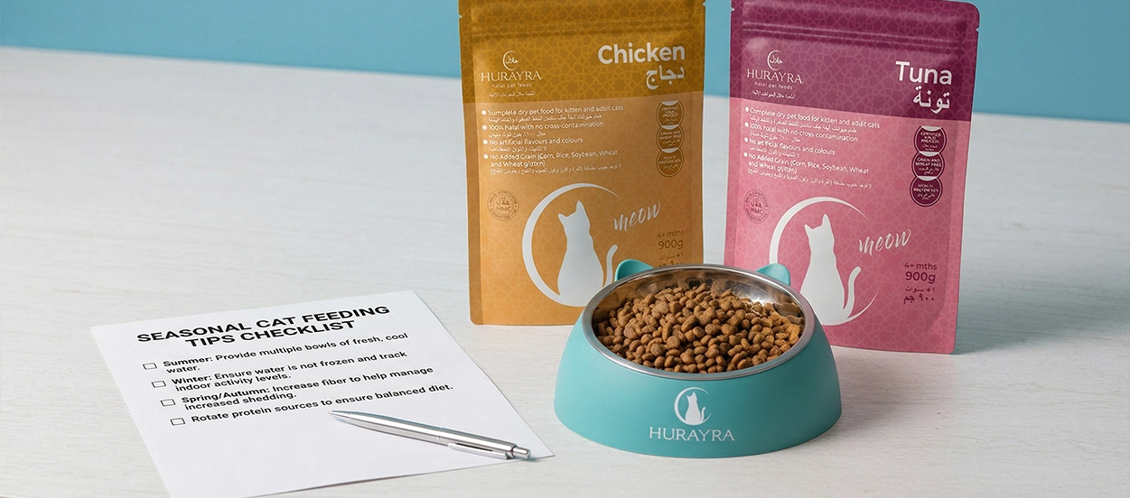 Seasonal Cat Feeding Tips: How to Adjust Your Cat’s Diet All Year in The UK