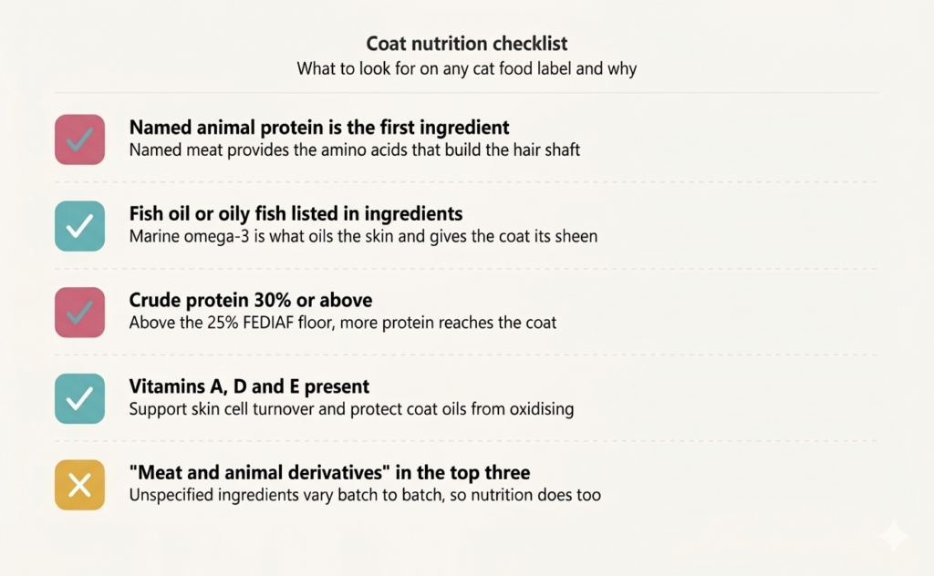 cat coat nutrition checklist