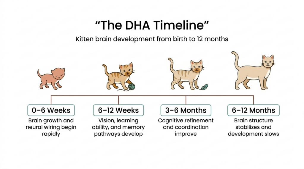 DHA in omega 3 for kittens