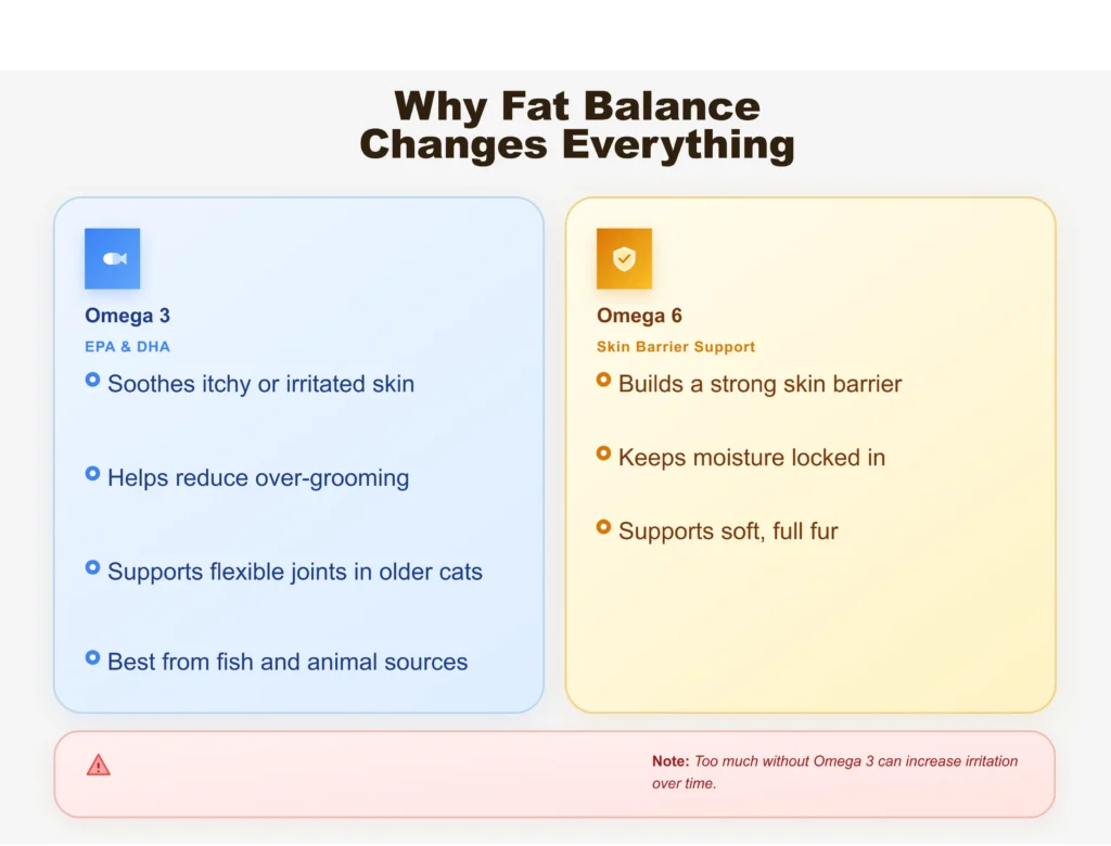 Why Fat Balance Changes Everything