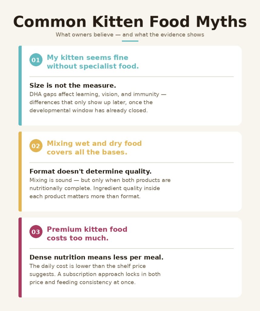 common kitten food myths