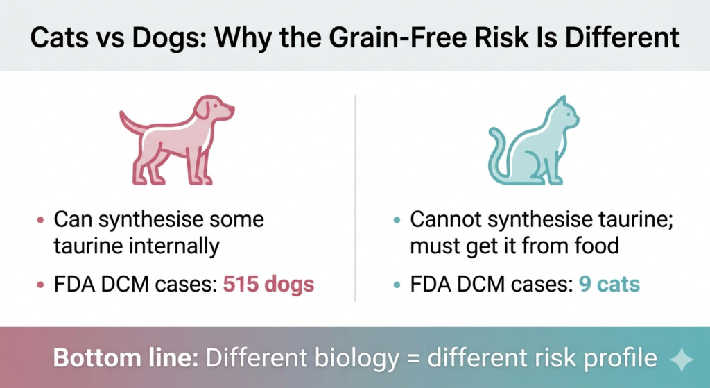 why cats are distinct from dogs in the grain-free debate. It doesn't repeat the text but gives it a reference point.