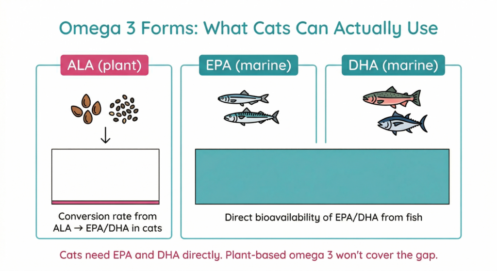 forms of omega 3 for cats