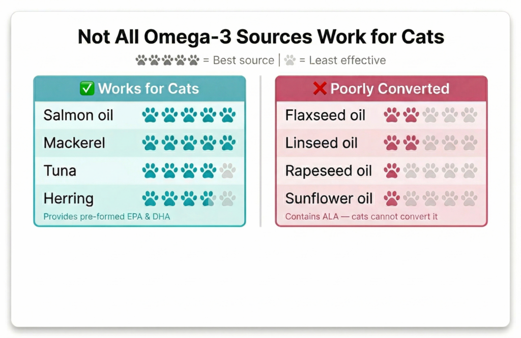 omerga-3 sources for cats