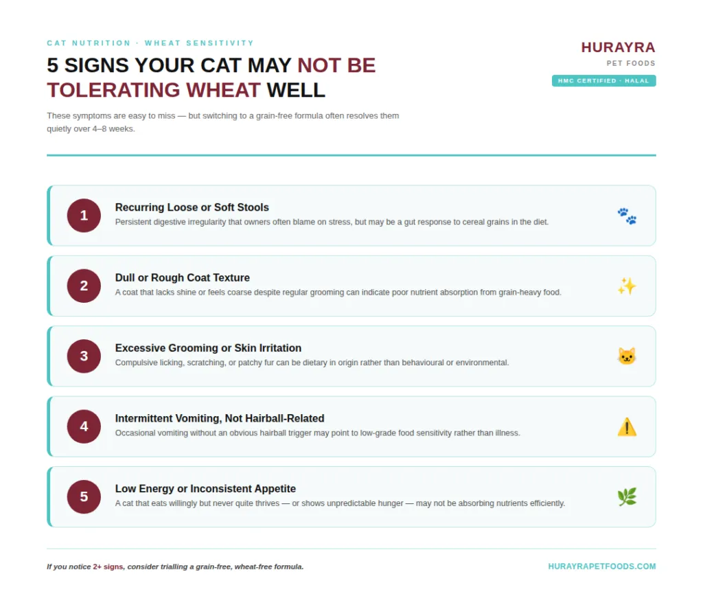 wheat-free-vs-grain-free-cat-food